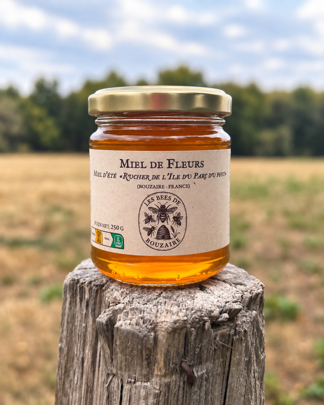 Pot de miel d'été 250 g du rucher de l'Île du Parc du Pont, pot en verre